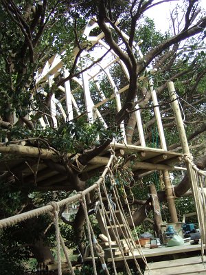 ツリーハウス制作