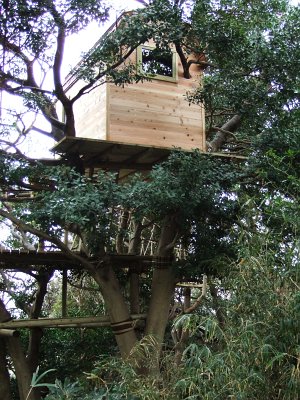 高所からの眺め